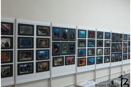 Concurso de Fotografia DTS 2012