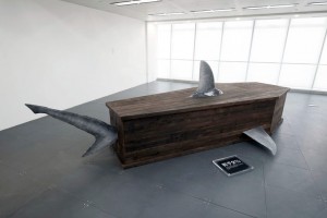 ataúdes-para-tiburones01