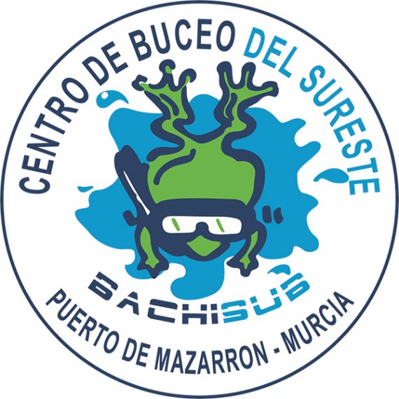 bachisub-logo