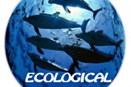 ecological-divers-logo