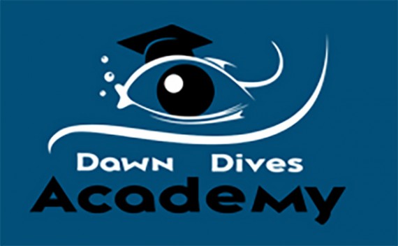 dawn-dives-academy