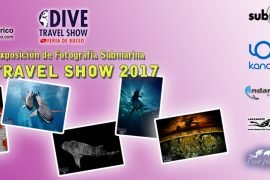 Concurso y Exposición de Fotografía Submarina Dive Travel Show 2017