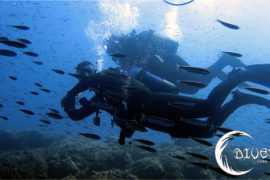 Sorteo 10 inmersiones de buceo en divers Cabo de Palos