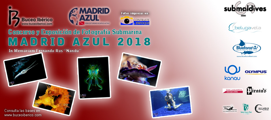 Concurso y Exposición de Fotografía Submarina Madrid Azul 2018