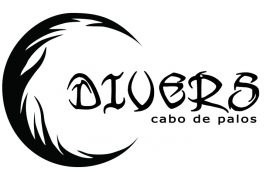 divers-logo-900X487